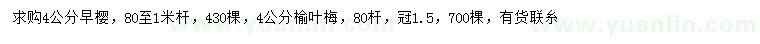 求購4公分早櫻、榆葉梅