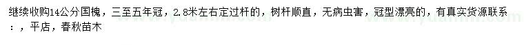 求購14公分國槐