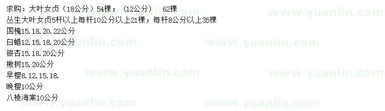 求購大葉女貞、國槐、白蠟等