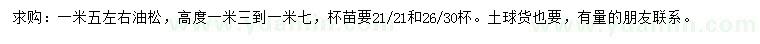 求購(gòu)1.5米左右油松