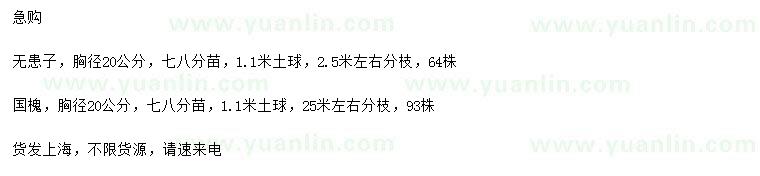求購胸徑20公分無患子、國槐