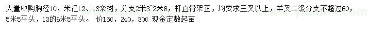 求購胸徑10公分、米徑12、13公分欒樹