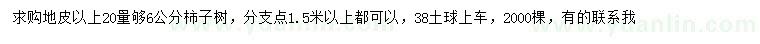 求購20量6公分柿子樹