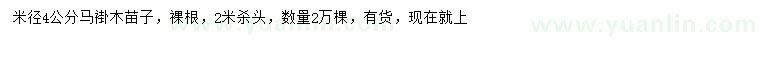求購(gòu)米徑4公分馬褂木