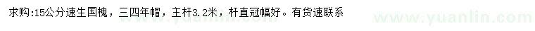 求購15公分速生國槐