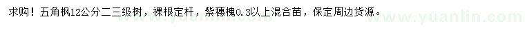 求購(gòu)12公分五角楓