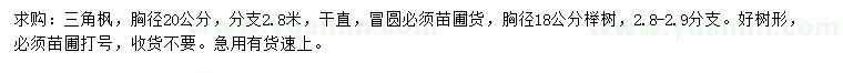 求購(gòu)胸徑20公分三角楓、胸徑18公分櫸樹(shù)