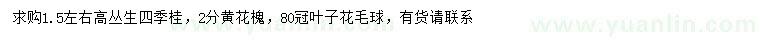 求購叢生四季桂、黃花槐、葉子花球