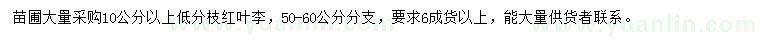 求購10公分以上紅葉李