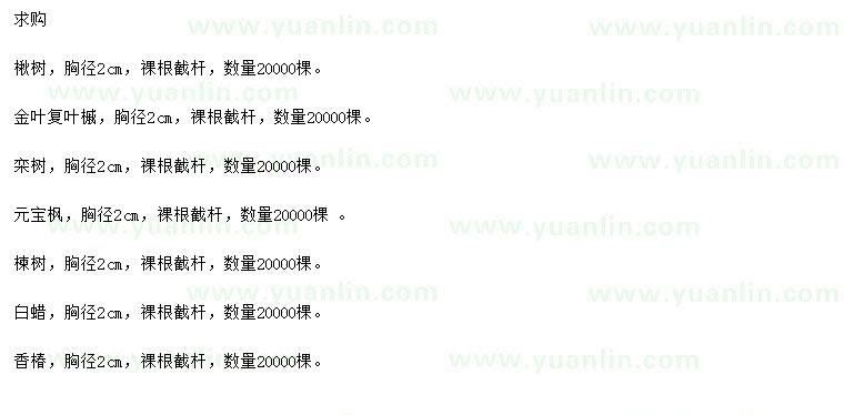 求購(gòu)楸樹、金葉復(fù)葉槭、欒樹等