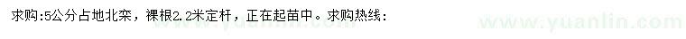 求購5公分北欒