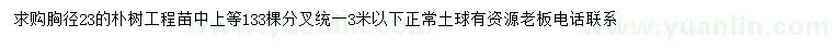 求購(gòu)胸徑23公分樸樹