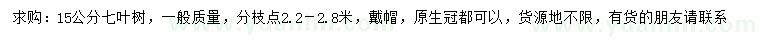 求購15公分七葉樹