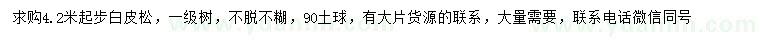 求購4.2米起步白皮松