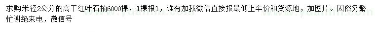 求購米徑2公分高干紅葉石楠