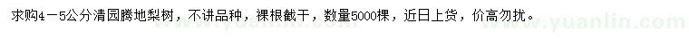 求購4-5公分梨樹