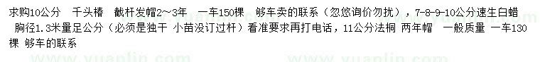 求購千頭椿、速生白蠟、法桐
