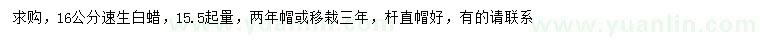 求購15.5起量16公分速生白蠟