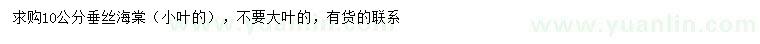 求購10公分垂絲海棠