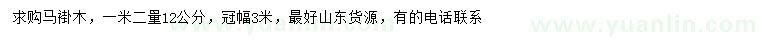求購1.2米量12公分馬褂木