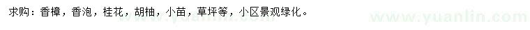 求購(gòu)香樟、香泡、桂花等