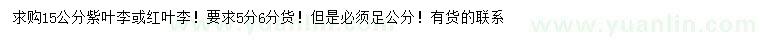 求購15公分紫葉李、紅葉李