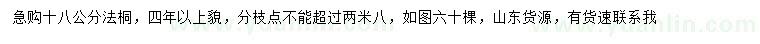 求購18公分法桐