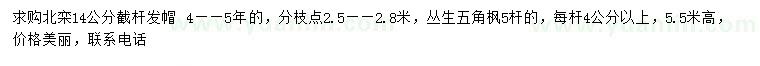 求購14公分北欒、叢生五角楓