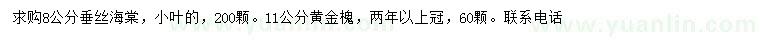 求購8公分垂絲海棠