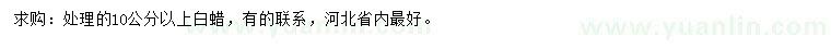 求購10公分以上白蠟