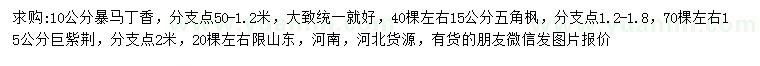 求購(gòu)暴馬丁香、五角楓、巨紫荊