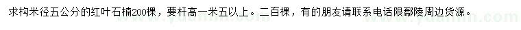 求購米徑5公分紅葉石楠