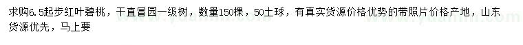 求購(gòu)6.5公分起步紅葉碧桃