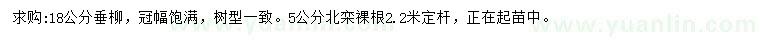 求購18公分垂柳、5公分北欒