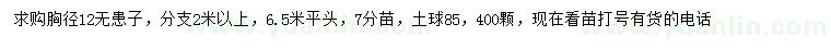 求購胸徑12公分無患子