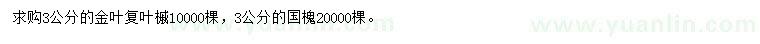 求購3公分金葉復(fù)葉槭、國槐