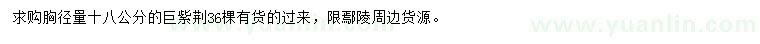 求購胸徑18公分巨紫荊