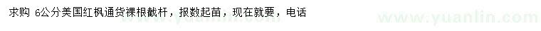求購6公分美國紅楓
