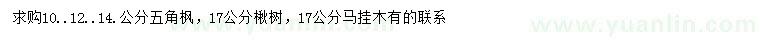 求購(gòu)五角楓、楸樹(shù)、馬褂木