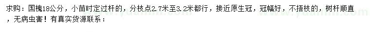 求購(gòu)18公分國(guó)槐