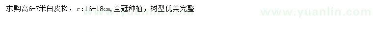 求購高6-7米白皮松
