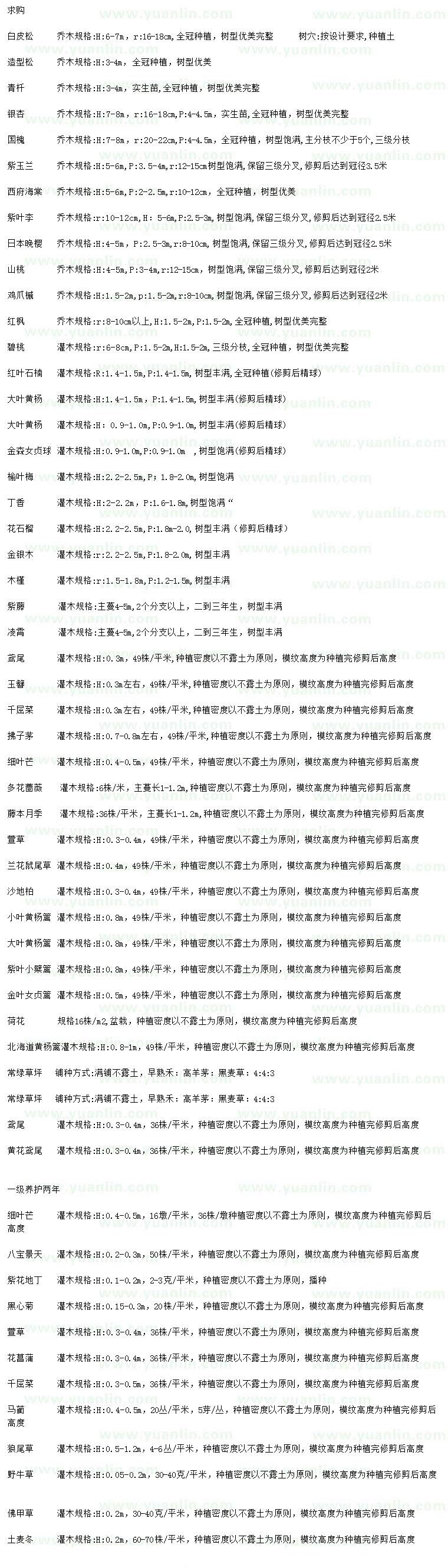 求購白皮松、造型松、青杄等