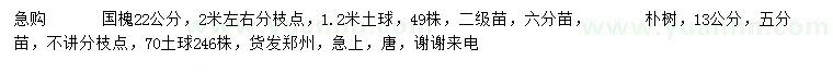 求購(gòu)13公分樸樹(shù)、22公分國(guó)槐