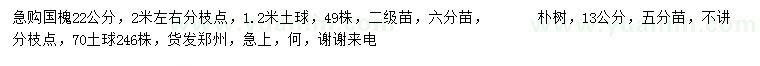 求購(gòu)22公分國(guó)槐、13公分樸樹