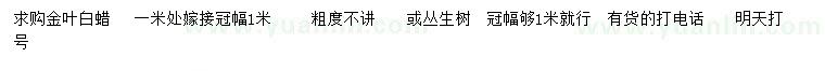 求購(gòu)冠幅1米金葉白蠟