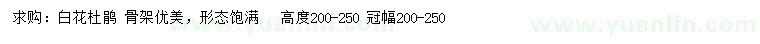求購高200-250公分杜鵑