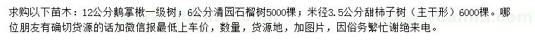 求購(gòu)鵝掌楸、石榴樹、甜柿子樹