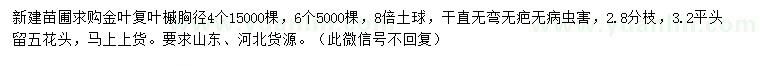 求購胸徑4、6公分金葉復(fù)葉槭