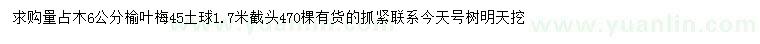 求購6公分榆葉梅