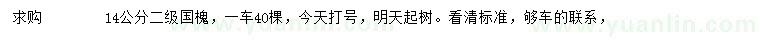 求購14公分國槐